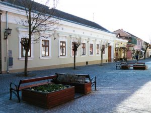 Dumtsa12 (1)