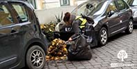 őszi nagytakarítás