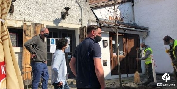 veszélyes fa kivágása