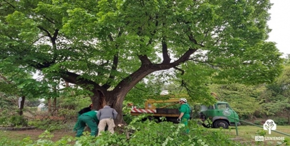 PILISI BIOSZFÉRA-REZERVÁTUM